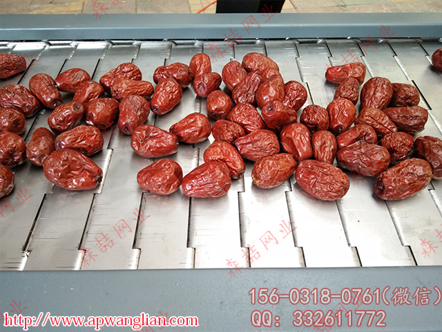 小顆粒產品使用什么樣的金屬輸送帶合適？