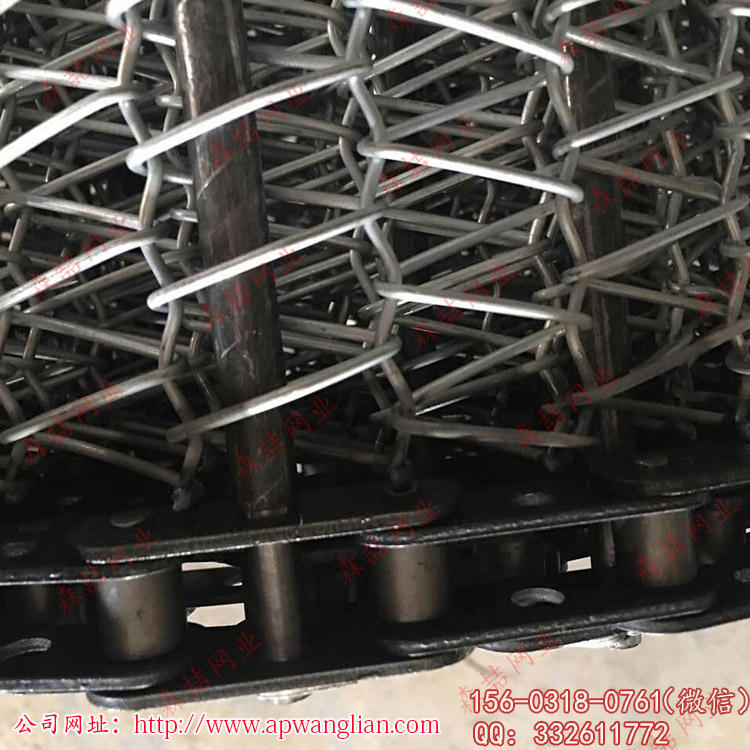 不銹鋼輸送網帶使用小滾珠雙節距的輸送鏈條