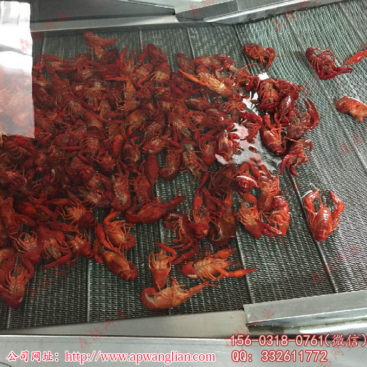 使用環境對輸送網帶的影響有哪些